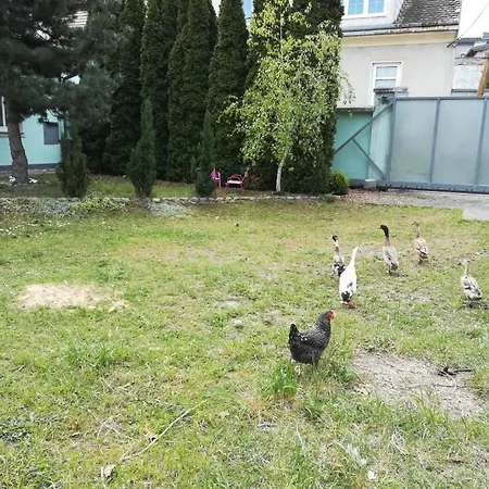 Apartment Ferienhaus Fuer Familien Und Hundeliebhaber