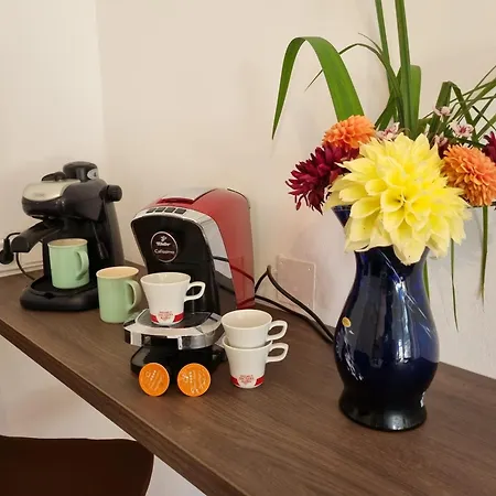 Daire Ferienhaus Fuer Familien Und Hundeliebhaber Traiskirchen