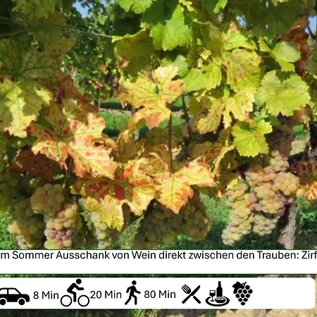 Ferienhaus Fuer Familien Und Hundeliebhaber *